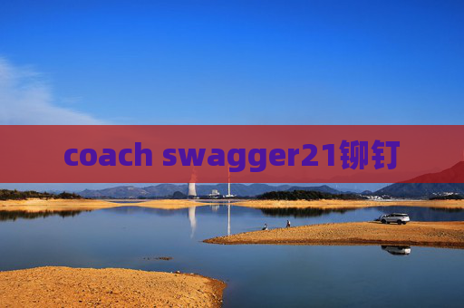 coach swagger21铆钉